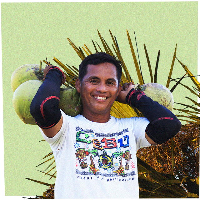 man carrying coconuts