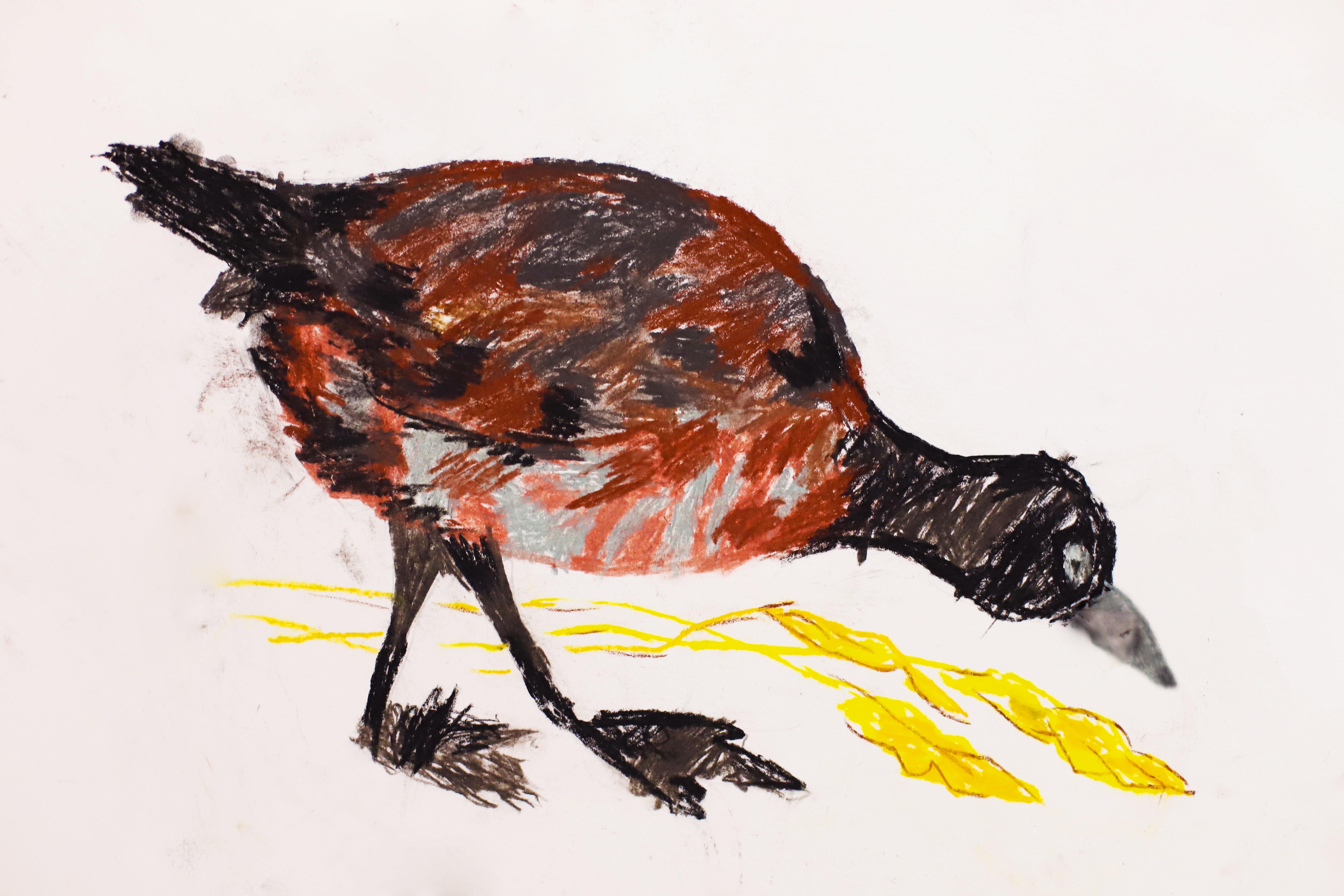 InnocentDrinks, drawing of bird