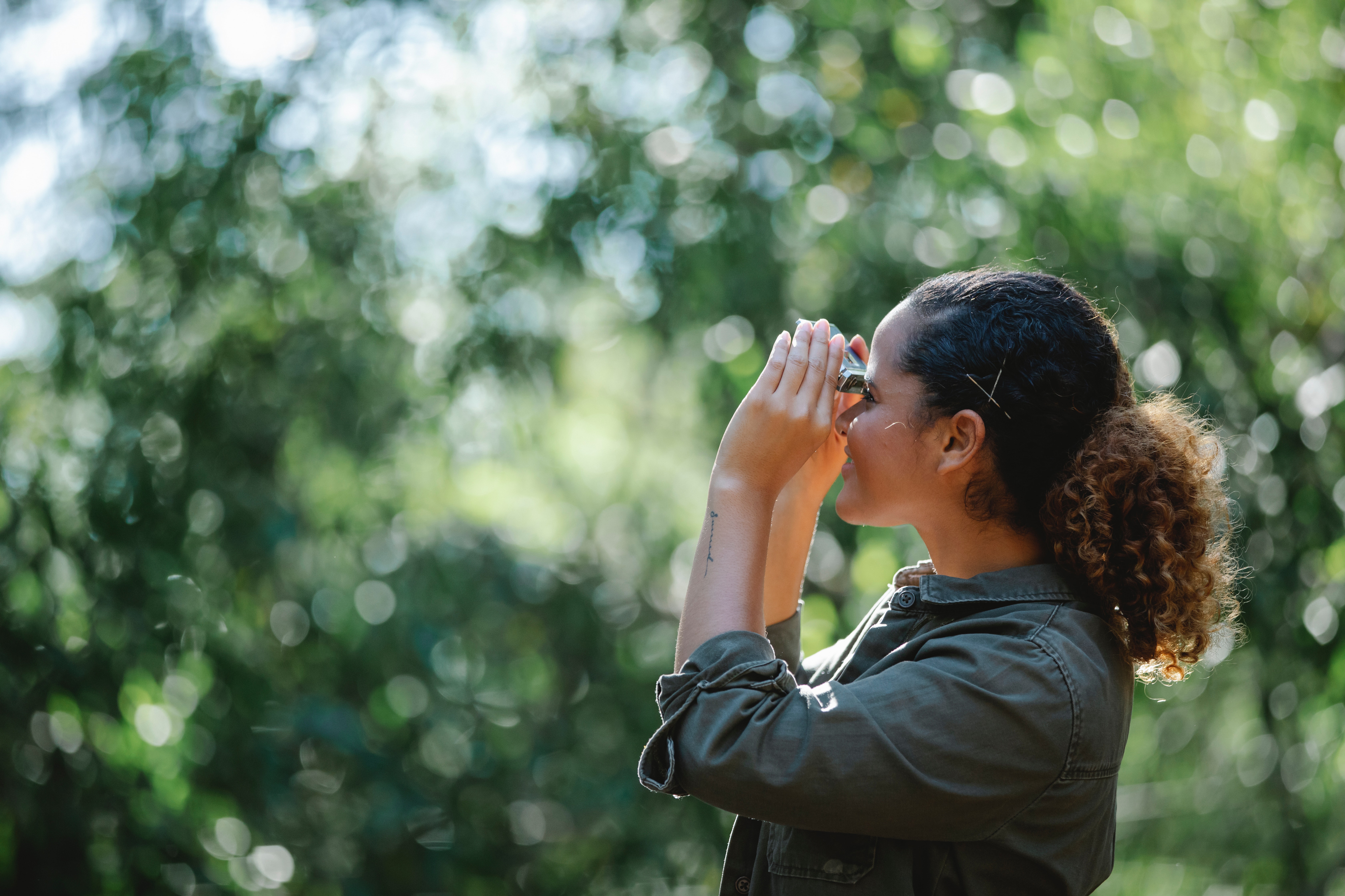 Innocentdrinks, bird watching