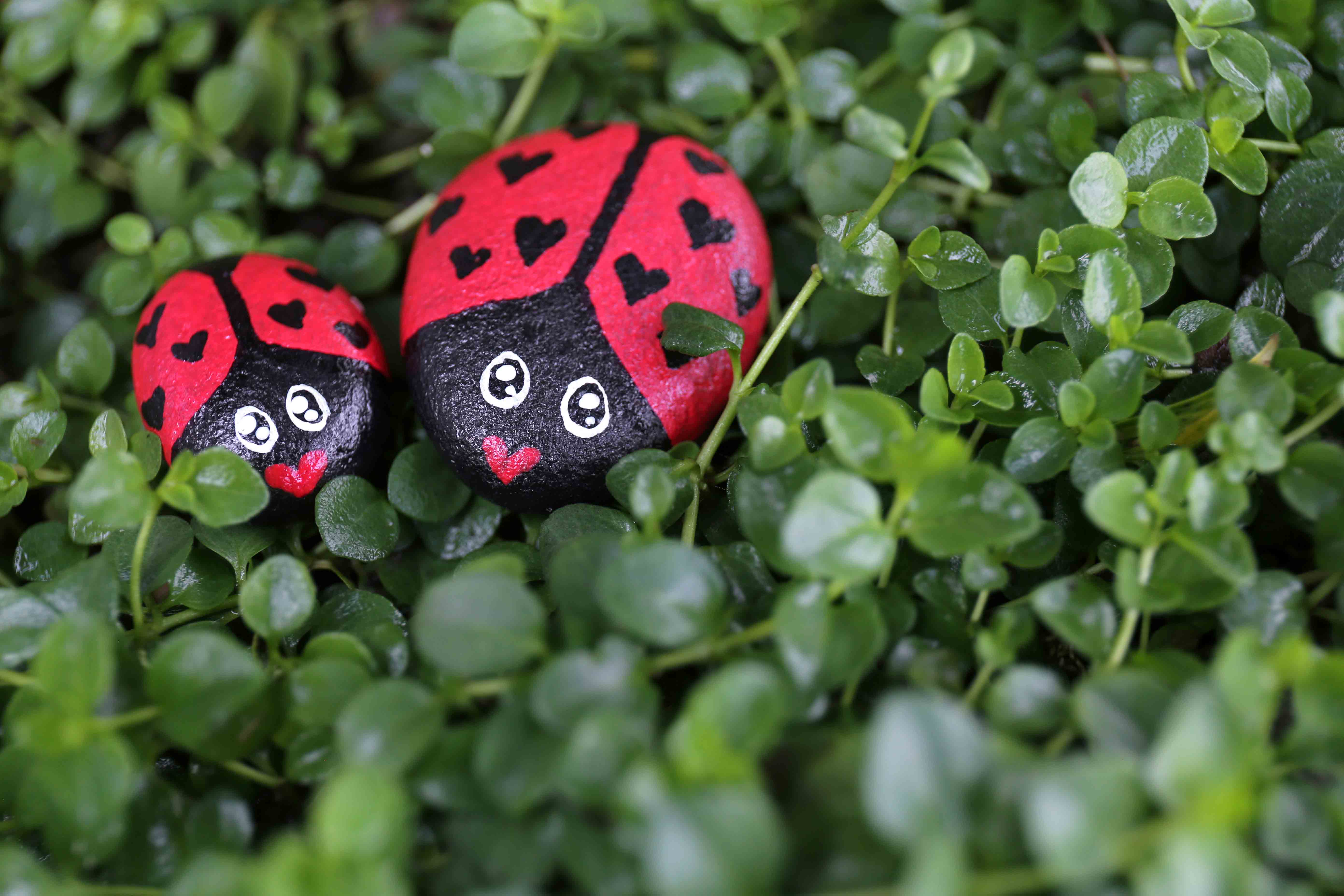 InnocentDrinks, ladybug painted pebbles