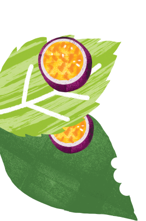 leaf